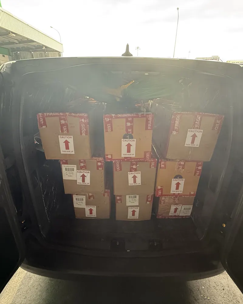 Boxed Platycerium orders loaded in a vehicle