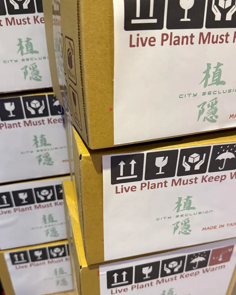 Stacked CS Plants export boxes marked Live Plant, packed with Platycerium for wholesale buyers