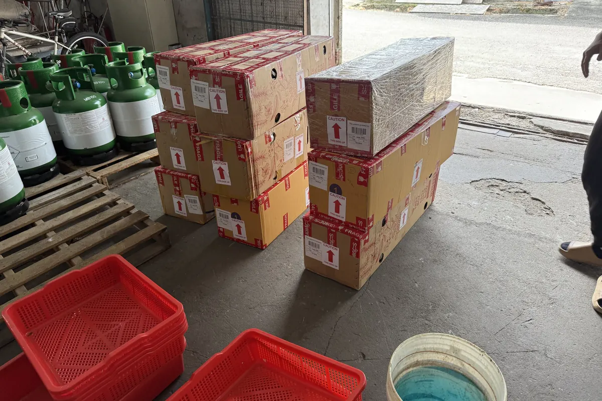 Crates of bare-root plants next to labelled export boxes on packing day