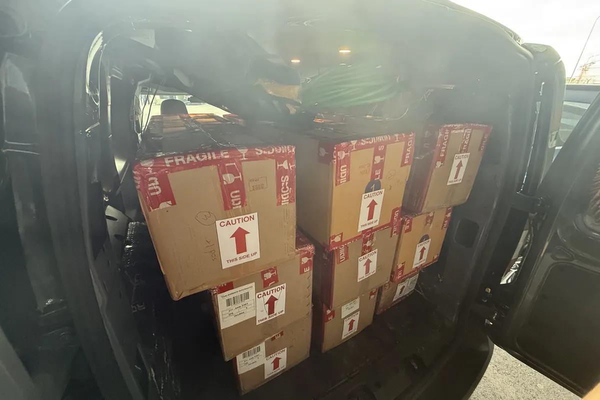 Packed Platycerium shipments loaded in a van, on the way to the airport